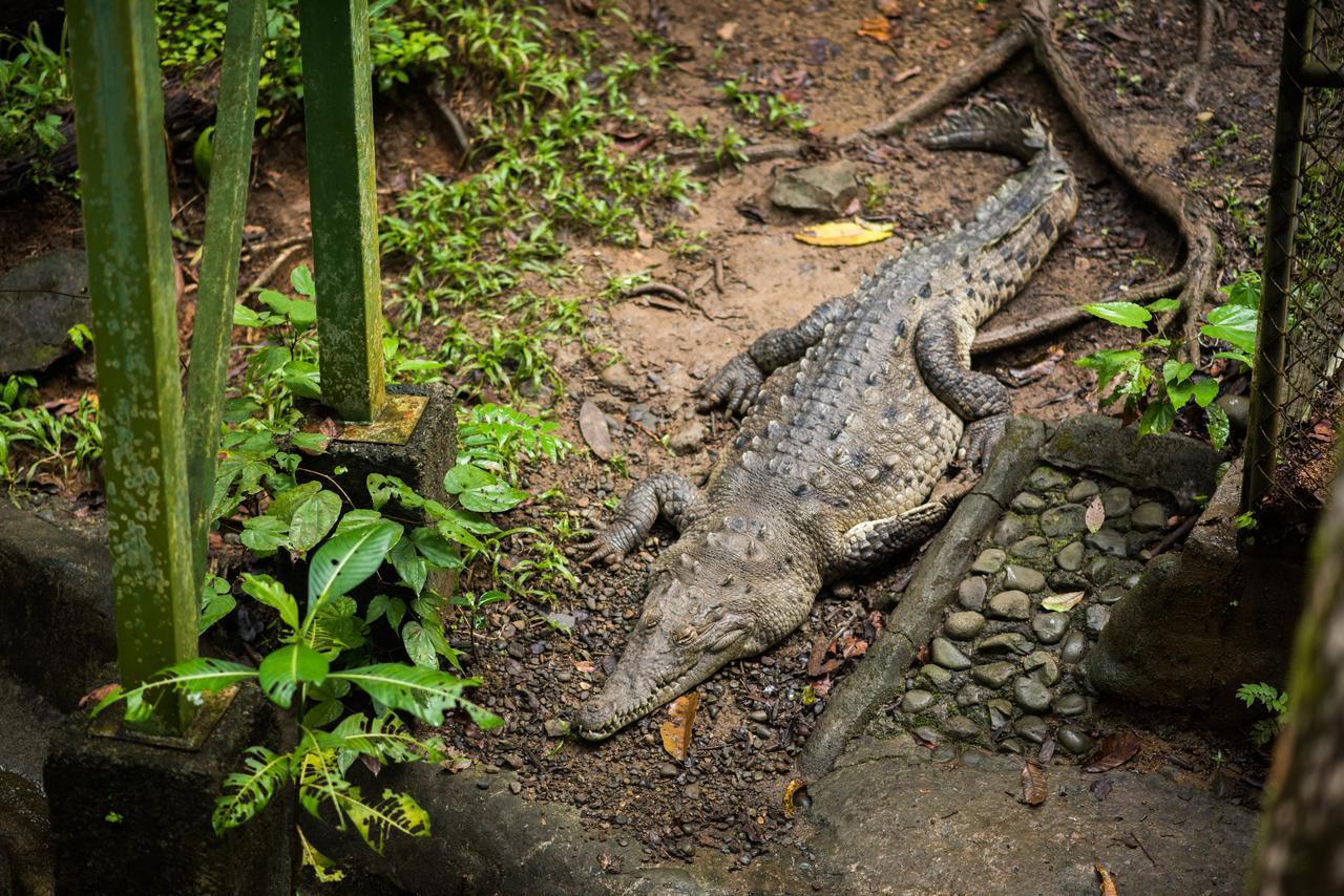 Si No Resort&wildlife Refuge Nationalpark Manuel Antonio